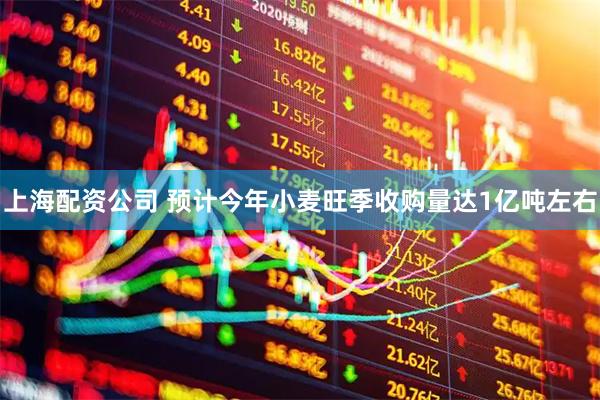 上海配资公司 预计今年小麦旺季收购量达1亿吨左右